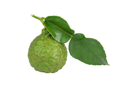Bergamot and kaffir lime leaves on white background, Work with path.の写真素材