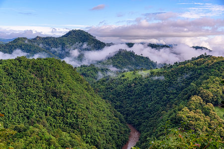 Landscape of mountain river with clouds in southeast Asia tropical green forest. Beautiful natural...
