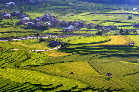 Rice fields on terraced beautiful shape of TU LE Valley, view on the road between Nghia Lo and Mu Cang Chai, Yen Bai province, Vietnam. An attractive tourist destination 250km form Hanoi.の写真素材