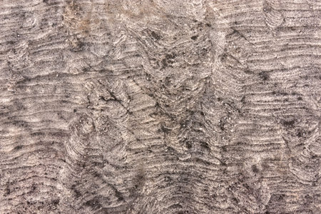 Stones texture for background or backdrop. closeup shot of rock surface