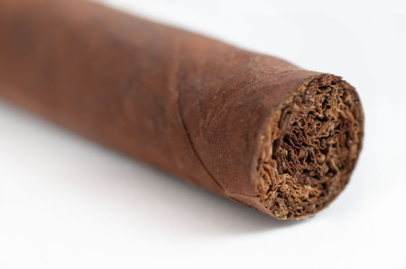 Cigar Inside Detail
