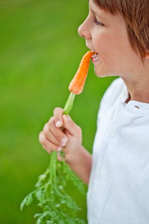 Child boy holding a carrot in his hands. Child and vegetables.の写真素材
