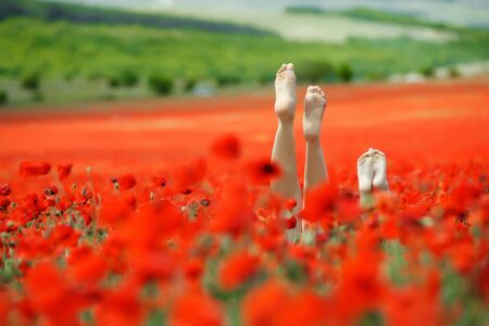 Beautiful legs on the nature. Two pairs of beautiful legs.の写真素材