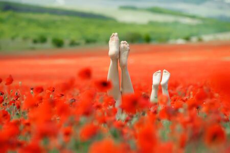 Beautiful legs on the nature. Two pairs of beautiful legs.の写真素材