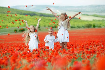 Children have fun playing in nature. Beautiful children in a field with flowers.の写真素材