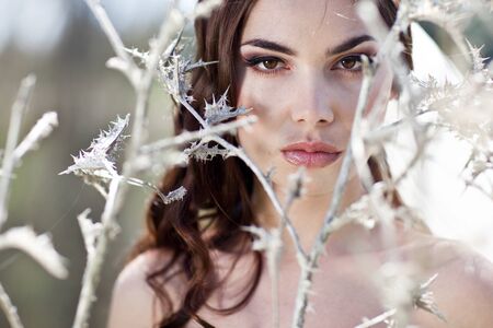 Beautiful bride on the nature. High quality photo.の写真素材