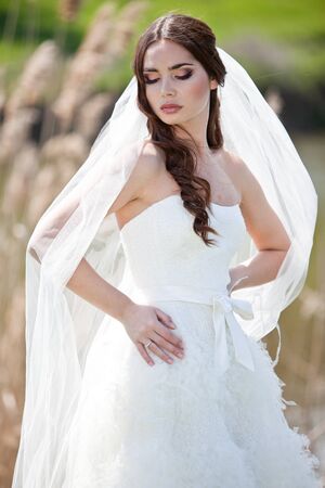 Beautiful bride on the nature. High quality photo.の写真素材