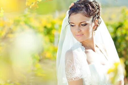 Beautiful bride on the nature. High quality photo.の写真素材