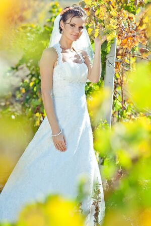 Beautiful bride on the nature. High quality photo.の写真素材