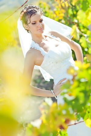 Beautiful bride on the nature. High quality photo.の写真素材