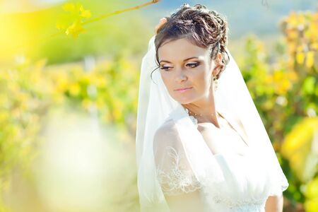 Beautiful bride on the nature. High quality photo.の写真素材
