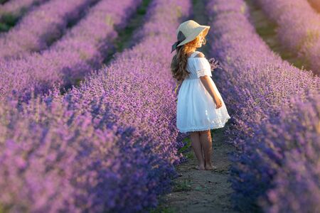A child in lavender. Beautiful girl in a field with lavender.の写真素材