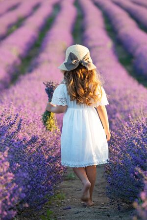 A child in lavender. Beautiful girl in a field with lavender.の写真素材