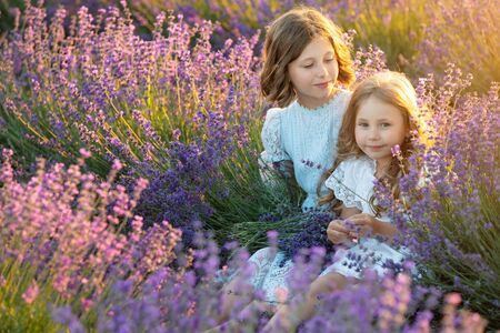 A child in lavender. Beautiful girl in a field with lavender.の写真素材