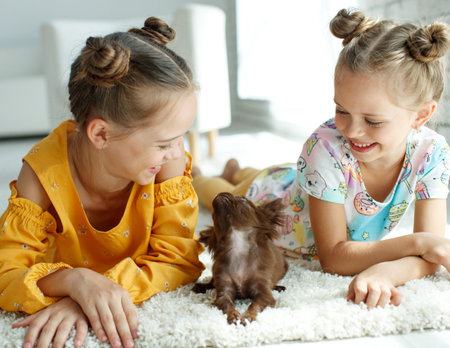 Child with a dog. Little girls play with a dog on the carpet at home. High quality photo.