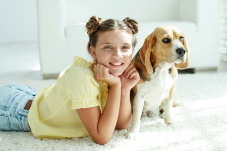Child with a dog. Teenage girl with a beagle dog at home. High quality photo.の写真素材