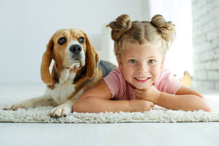 Child with a dog. Little girl plays with a dog at home. Child and animal. High quality photo.の写真素材