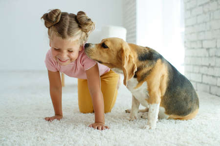 Child with a dog. Little girl plays with a dog at home. Child and animal. High quality photo.の写真素材