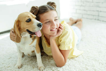 Child with a dog. Teenage girl with a beagle dog at home. High quality photo.の写真素材