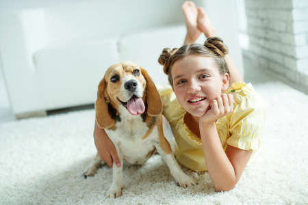 Child with a dog. Teenage girl with a beagle dog at home. High quality photo.の写真素材