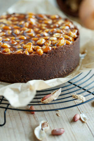 Cheesecake. Soft cottage cheese cake with nuts. High quality photo.の写真素材