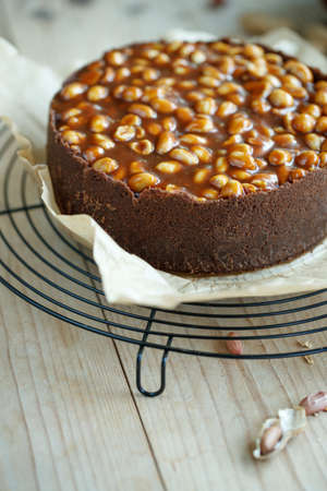 Cheesecake. Soft cottage cheese cake with nuts. High quality photo.の写真素材