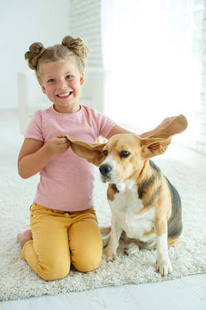 Child with a dog. Little girl plays with a dog at home. Child and animal. High quality photo.の写真素材