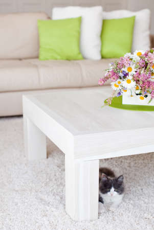 Interior with flowers, home comfort, a table with flowers and a cozy sofa next to it. High quality photo.の写真素材