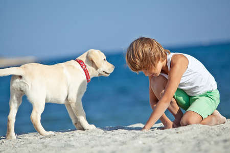 Happy boy playing with his dog on the seashore against the blue sky. Best friends have fun on vacation. High quality photo.の写真素材