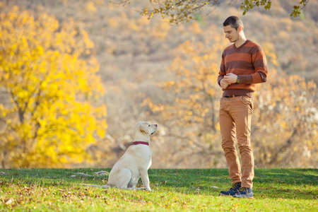 Dog and its owner a young man have fun in the park - Concepts of friendship, pets, togetherness. High quality photo.の写真素材