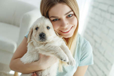 Cute young woman kisses and hugs a Labrador Retriever puppy dog. Love between owner and dog. In the room at home, interior. High quality photo.の写真素材