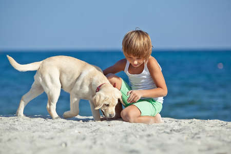 Happy boy playing with his dog on the seashore against the blue sky. Best friends have fun on vacation, play on the sand against the sea. High quality photo.の写真素材