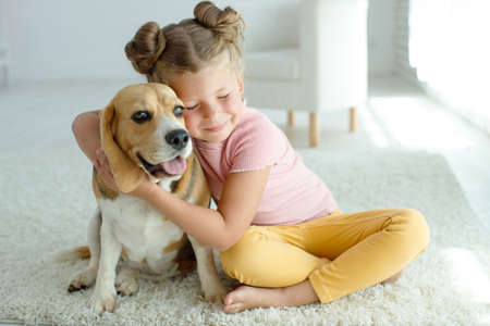 Happy child with a dog. Portrait of a girl with a pet. Beagle licks with a teenager. High quality photo.の写真素材