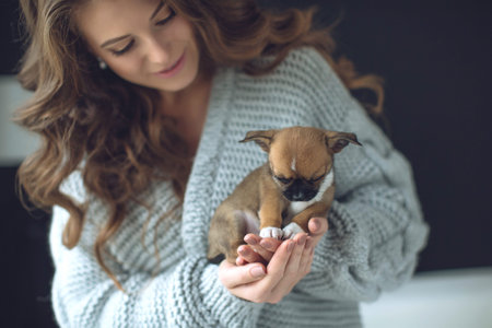 The owner of the dog and her pet. Happy ethnic girl holding a cute puppy near her face, expresses...