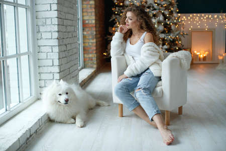A beautiful woman with a white Samoyed, hugs, against the background of a Christmas tree with candles in a decorated room in Christmas. Happy New Year. High quality photo.の写真素材