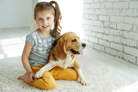 Little girl with a dog at home. High quality photo.の写真素材