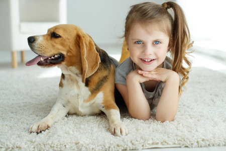 Little girl with a dog at home. High quality photo.の写真素材