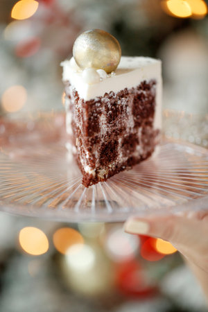 Plate with slice of tasty homemade chocolate cake. High quality photo.の写真素材