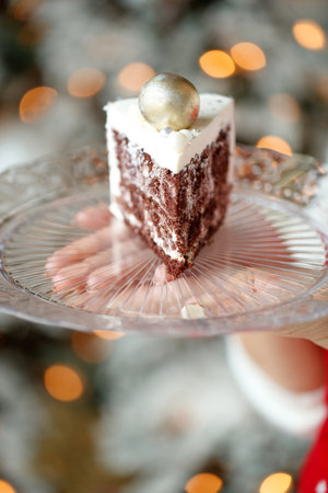 Plate with slice of tasty homemade chocolate cake. High quality photo.の写真素材