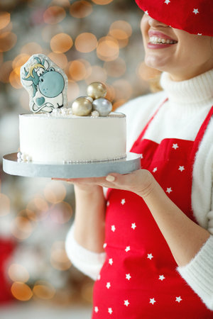 Christmas cake with gingerbread decorations. High quality photo.の写真素材
