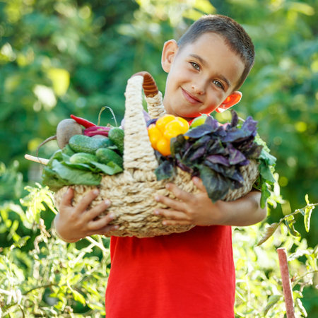 Time to harvest. Happy child in the vegetable garden with vegetables. High quality photo.の写真素材