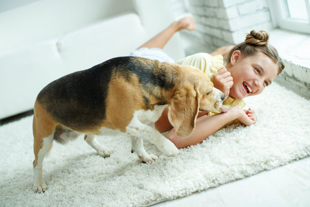 Child with a dog. Teenage girl with a beagle dog at home. High quality photo.の写真素材
