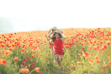 Group of happy children playing outdoors. Children have fun in the spring park. Girls run in the field with poppies. High quality photo.の写真素材