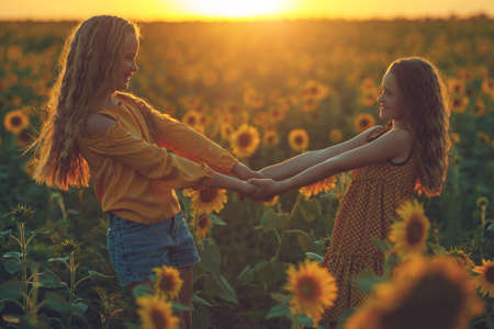 Girlfriends of the girl laugh and play sunflower. Baby girl in sunflowers. High quality photo.の写真素材
