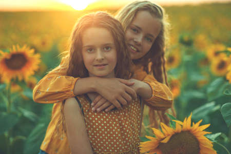 Girlfriends of the girl laugh and play sunflower. Baby girl in sunflowers. High quality photo.の写真素材