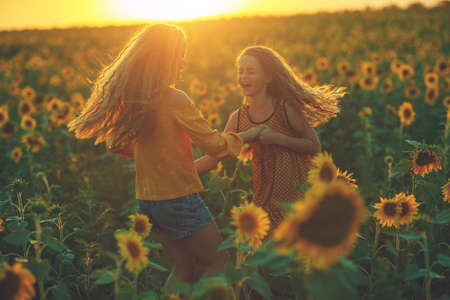 Girlfriends of the girl laugh and play sunflower. Baby girl in sunflowers. High quality photo.の写真素材
