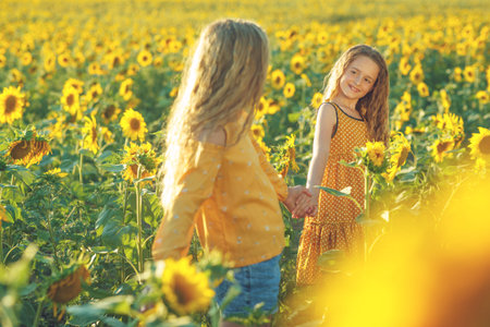 Girlfriends of the girl laugh and play sunflower. Baby girl in sunflowers. High quality photo.の写真素材