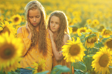 Girlfriends of the girl laugh and play sunflower. Baby girl in sunflowers. High quality photo.の写真素材
