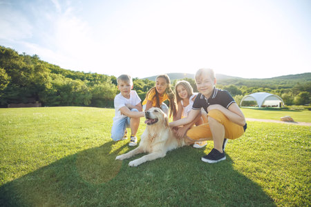 Children play with a dog in nature. High quality photo.