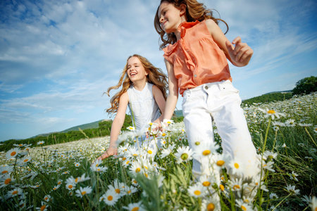 Cute child girl at chamomile field. A group of children play and run in a field with flowers. High quality photo.の写真素材